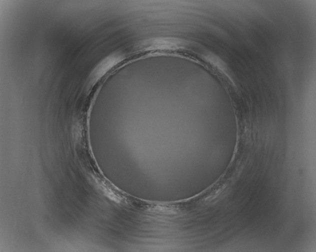 X0000081360874200701111519