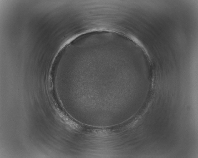 X0000081360876200701111519