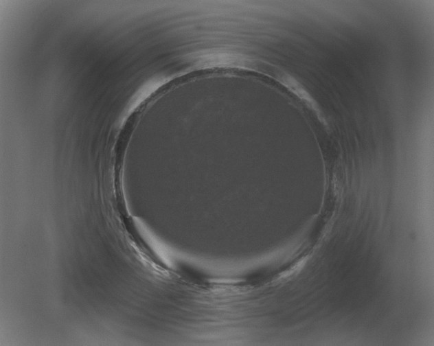 X0000081360877200701111519