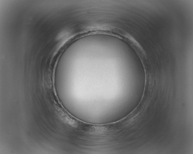 X0000081360878200701111519