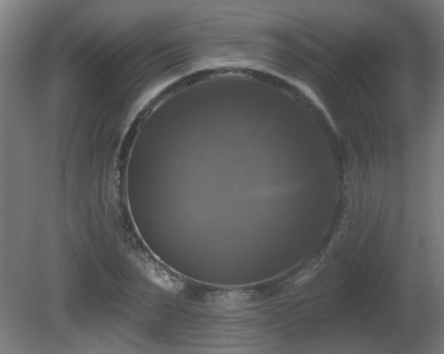 X0000081360879200701111519