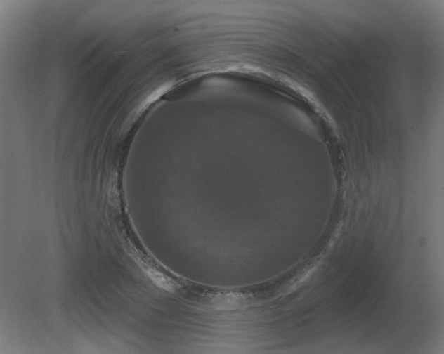 X0000081360881200701111519