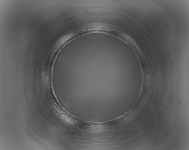 X0000081360882200701111518