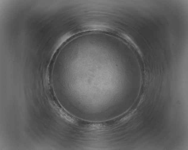 X0000081360883200701111518