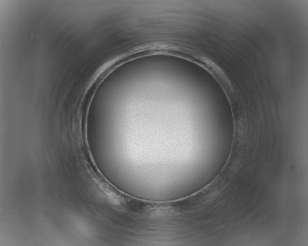 X0000081360886200701111518