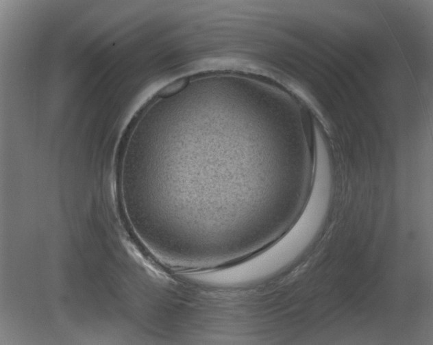 X0000081360888200701111518