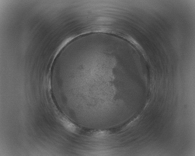 X0000081360891200701111518