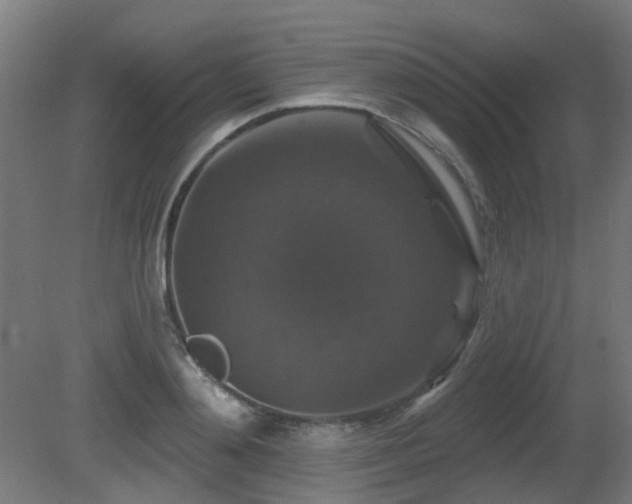 X0000081360892200701111518