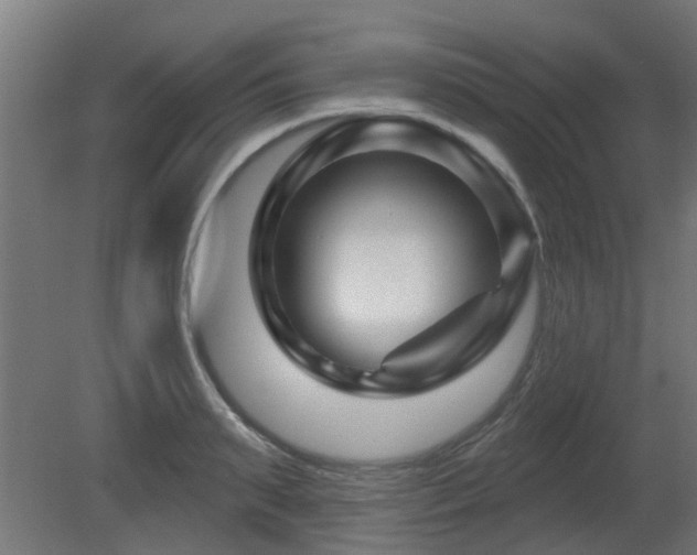 X0000081360895200701111518