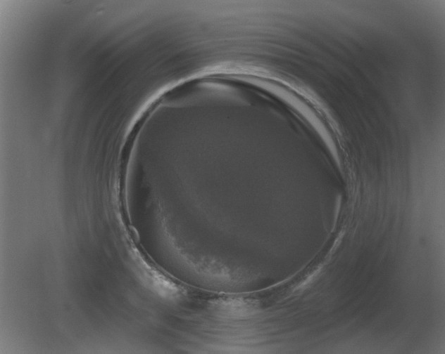 X0000081360896200701111518