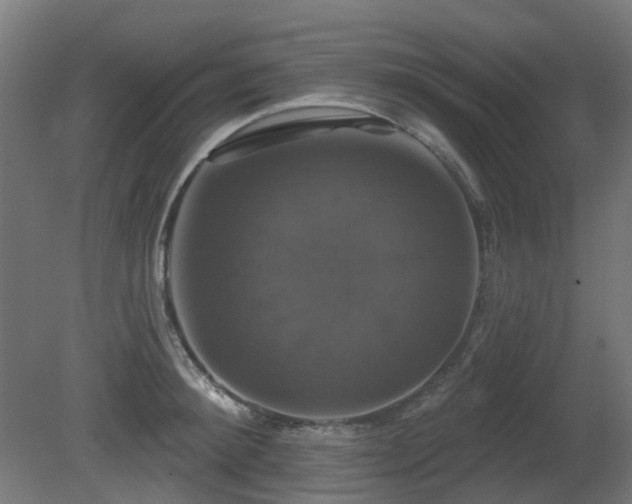 X0000081360900200701111518
