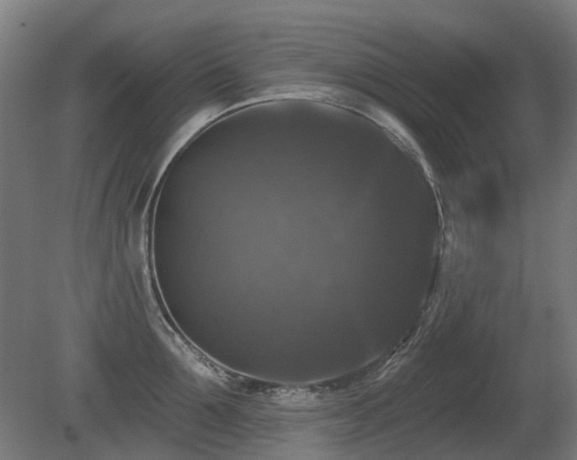 X0000081360907200701111518