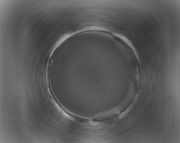 X0000081360910200701111518