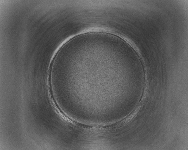 X0000081360912200701111518