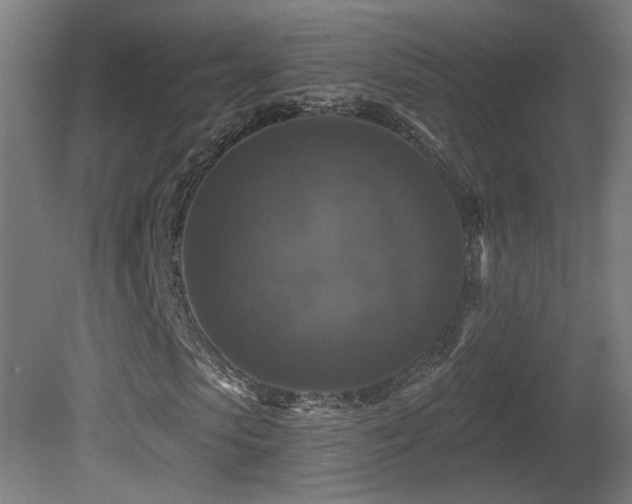 X0000081360913200701111517