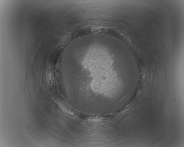 X0000081360914200701111517