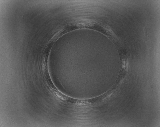 X0000081360915200701111517