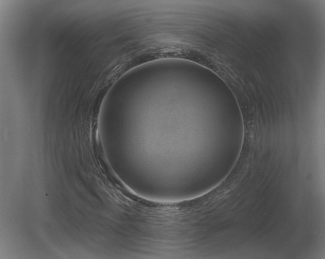 X0000081360916200701111517