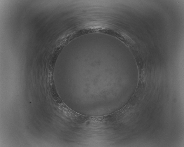 X0000081360917200701111517