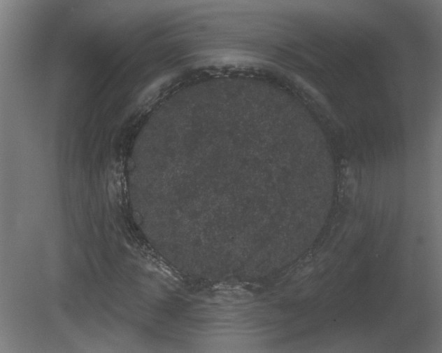 X0000081360918200701111517