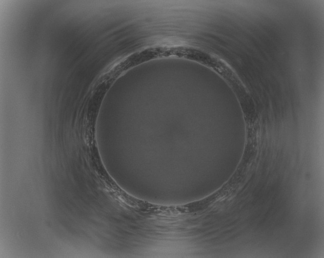 X0000081360919200701111517