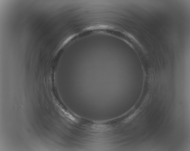 X0000081360921200701111517