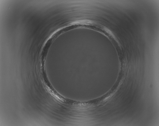 X0000081360923200701111517