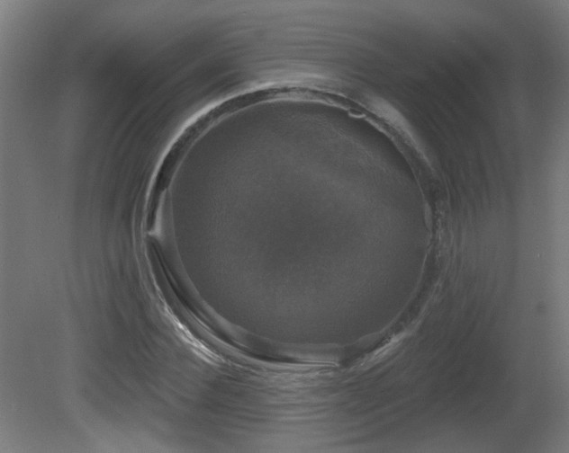 X0000081360924200701111517