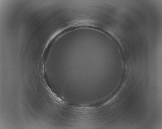 X0000081360925200701111517