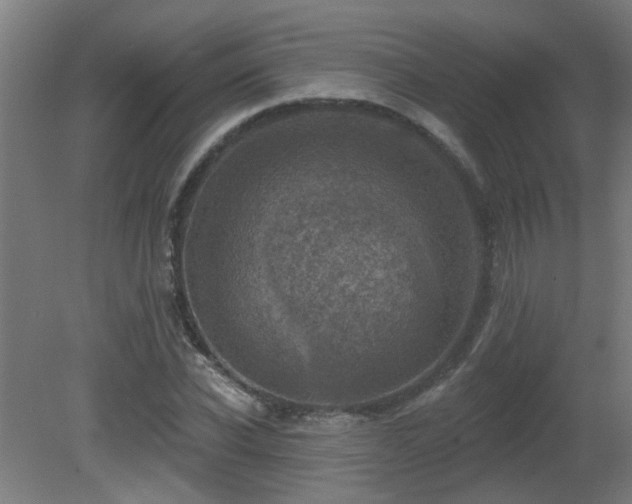 X0000081360926200701111517