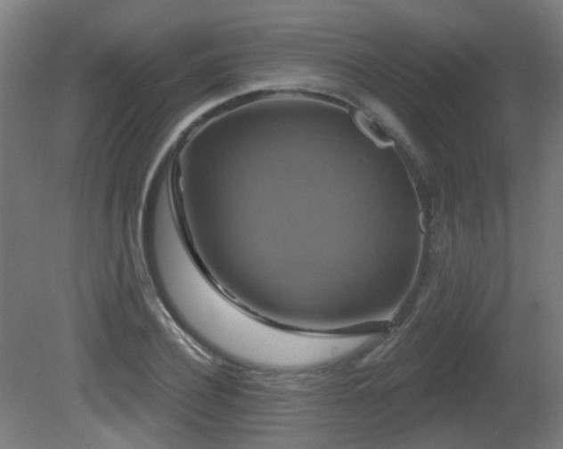X0000081360932200701111517