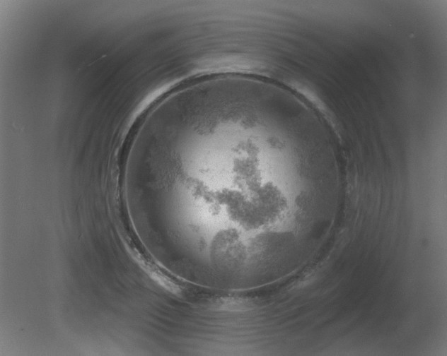 X0000081360933200701111517