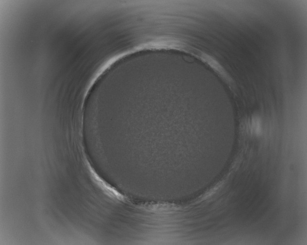 X0000081360934200701111518