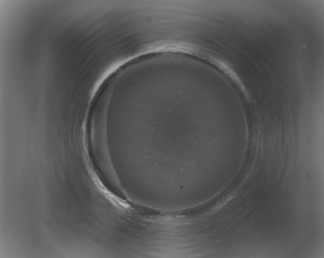X0000081360936200701111518