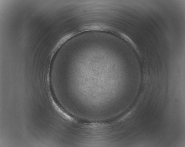 X0000081360938200701111518