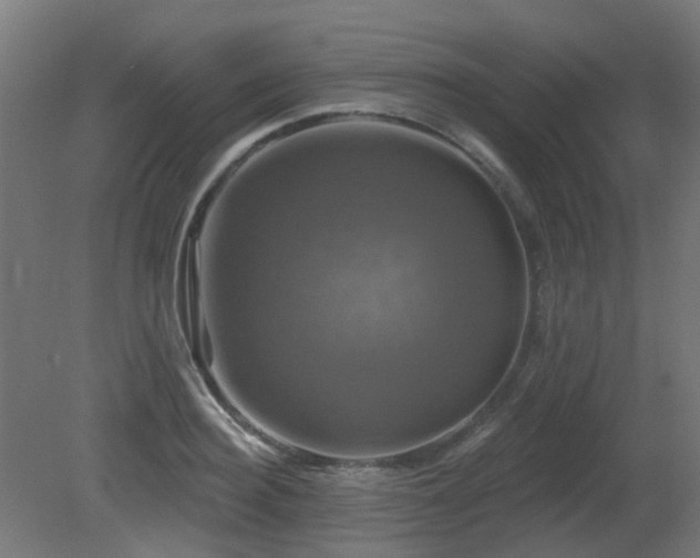 X0000081360940200701111518