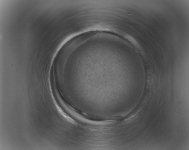 X0000081360942200701111518