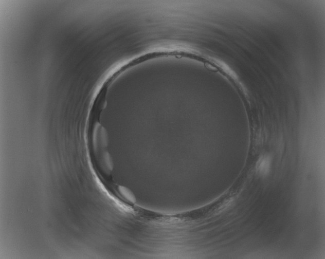 X0000081360943200701111518