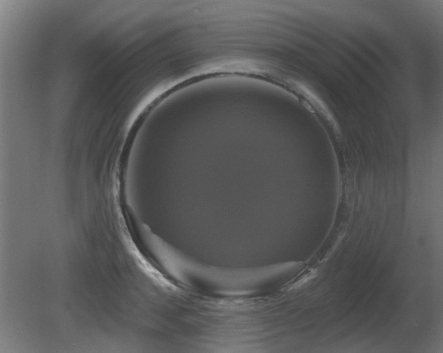 X0000081360944200701111518