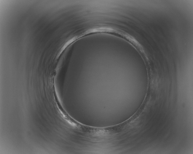 X0000081360945200701111518