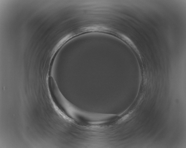 X0000081360946200701111518