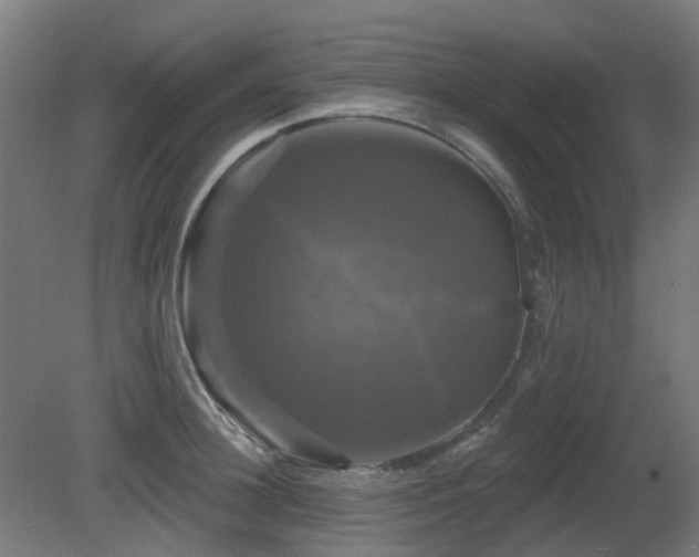 X0000081360948200701111518