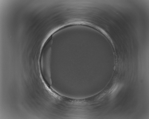 X0000081360951200701111518