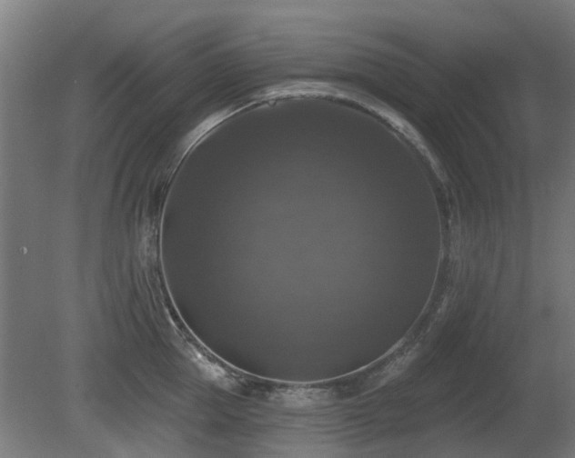 X0000081360953200701111518