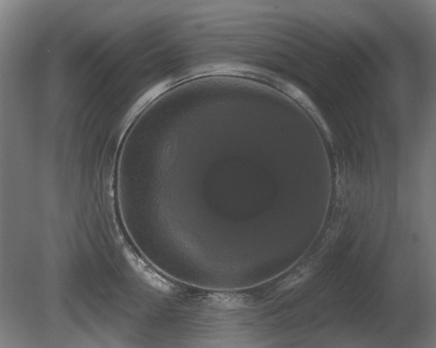 X0000081360954200701111518