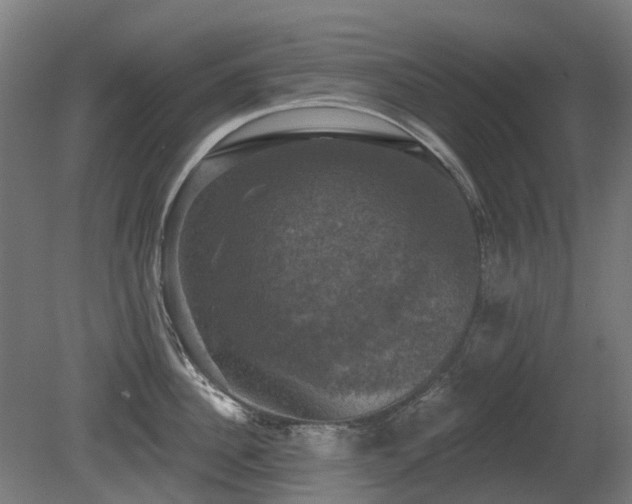 X0000081360956200701111518