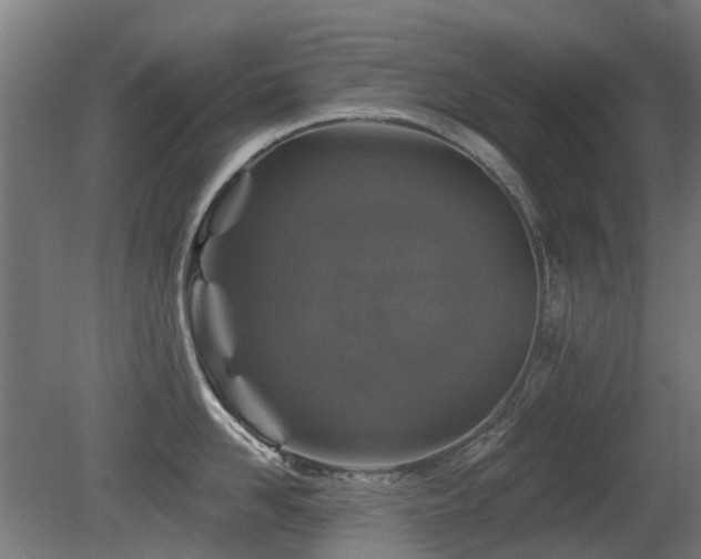X0000081360958200701111518