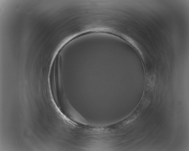 X0000081360959200701111518