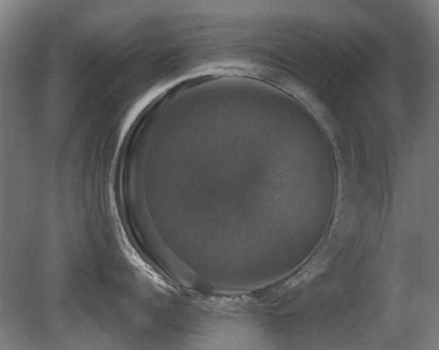 X0000081360960200701111518