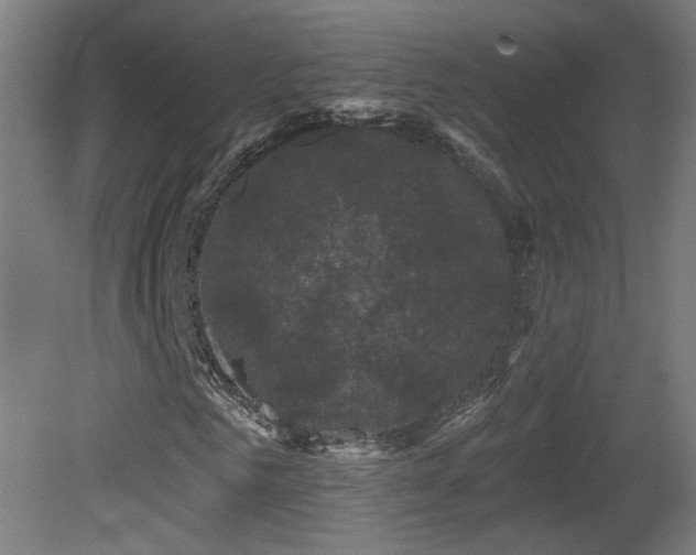 X0000081360961200701111517
